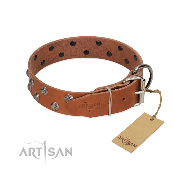 Reliable traditional buckle on decorated genuine leather dog collar