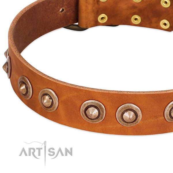 Rust-proof decorations on full grain leather dog collar for your four-legged friend