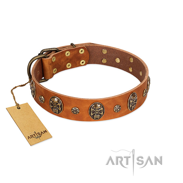 Adjustable leather collar for your pet
