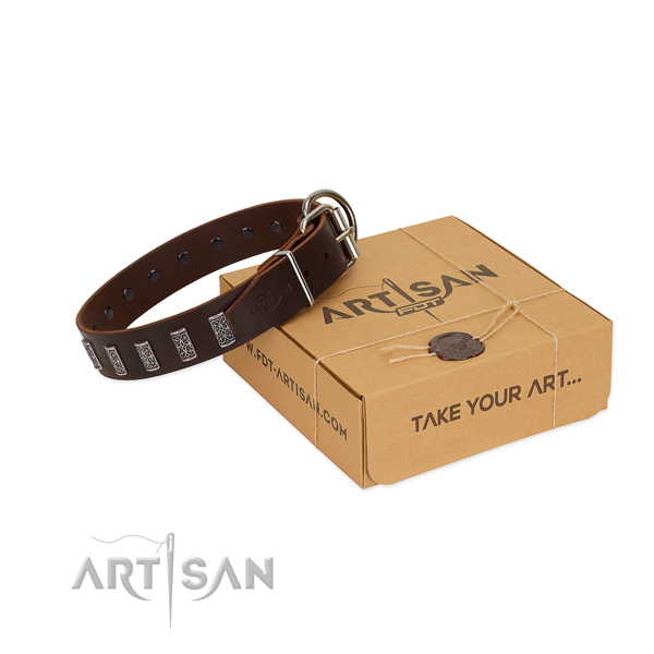 Corrosion proof fittings on full grain genuine leather dog collar for daily walking your pet