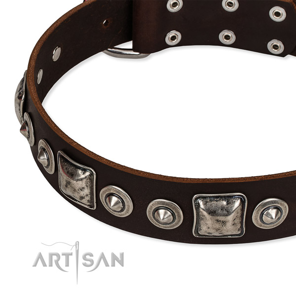 Full grain natural leather dog collar made of soft to touch material with decorations