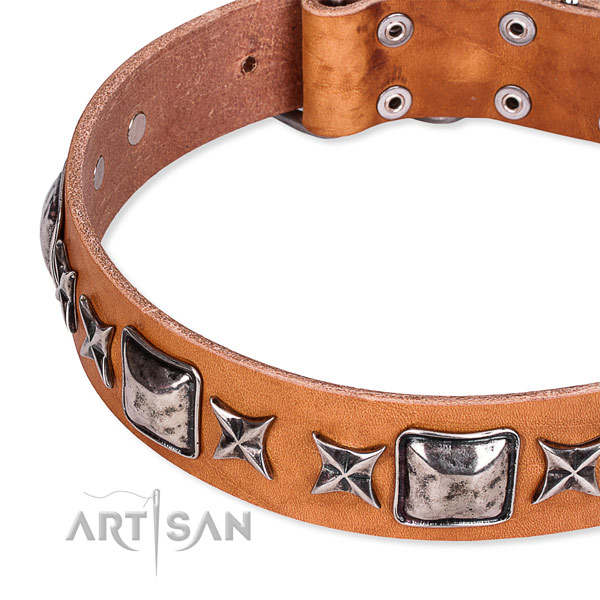 Handy use studded dog collar of quality full grain leather