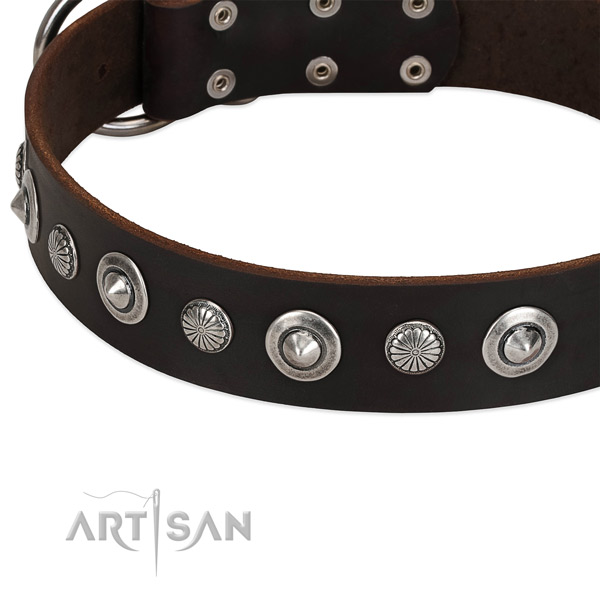 Stylish adorned dog collar of best quality natural leather