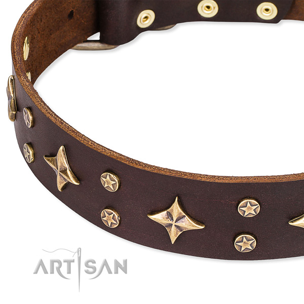 Daily walking adorned dog collar of strong genuine leather