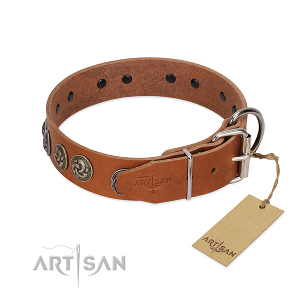Corrosion proof D-ring on studded full grain genuine leather dog collar