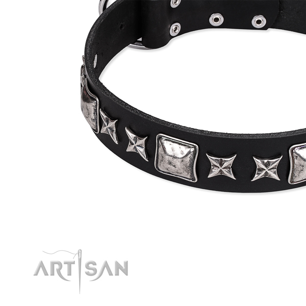 Fancy walking studded dog collar of high quality full grain natural leather