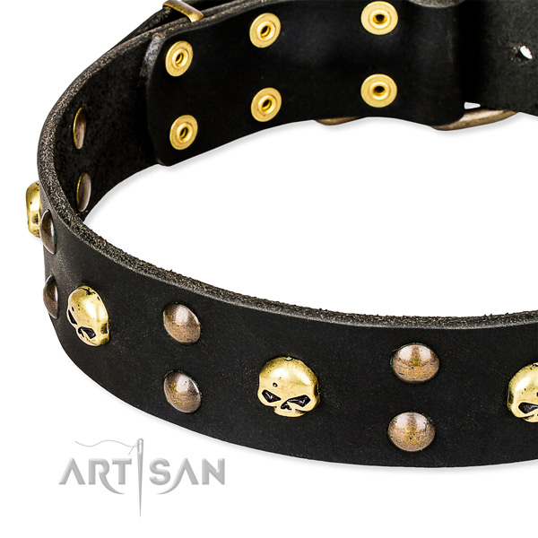 Everyday use studded dog collar of top notch full grain genuine leather
