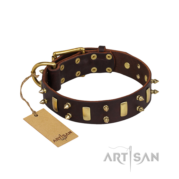 Everyday walking dog collar of best quality natural leather with embellishments