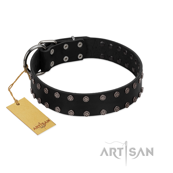 Handy use genuine leather dog collar with impressive embellishments