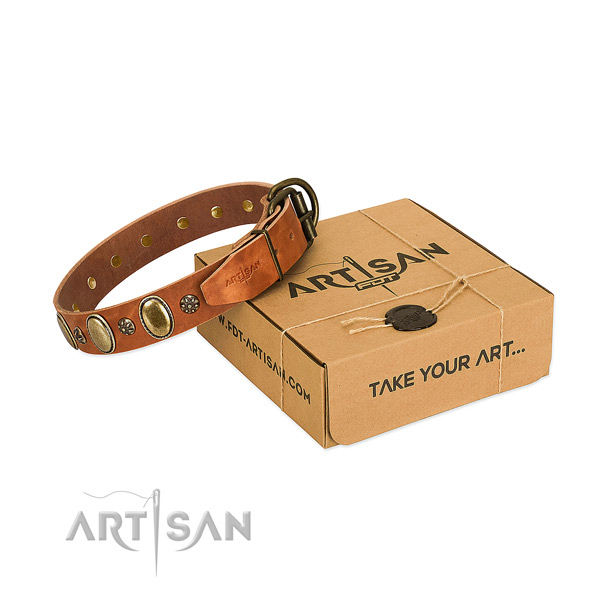 Daily walking soft full grain natural leather dog collar with adornments