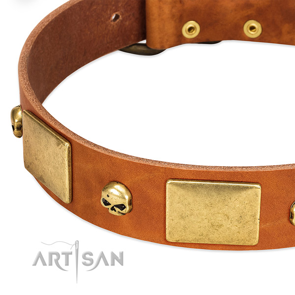 Strong genuine leather dog collar with corrosion proof fittings