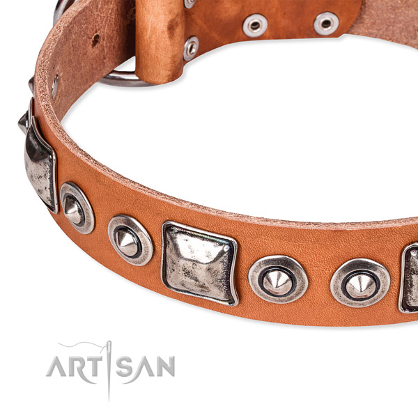 Strong full grain genuine leather dog collar handmade for your impressive canine