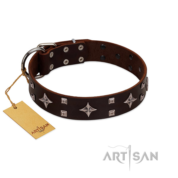 Fashionable full grain natural leather collar for your four-legged friend stylish walks
