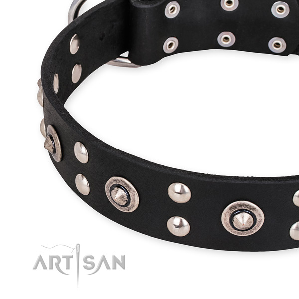 Full grain leather collar with rust-proof D-ring for your beautiful pet