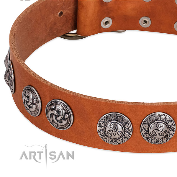 Exquisite full grain genuine leather dog collar for stylish walking