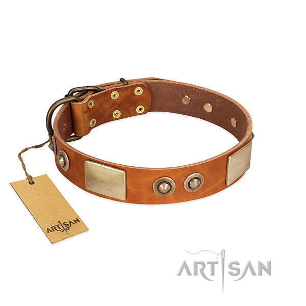 Easy adjustable natural genuine leather dog collar for everyday walking your pet