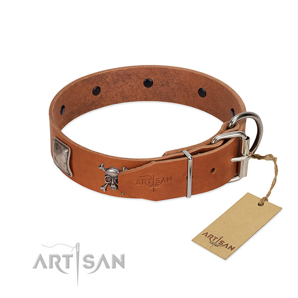 Exquisite genuine leather dog collar with rust-proof embellishments