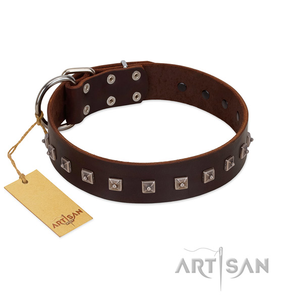 Inimitable embellished full grain natural leather dog collar