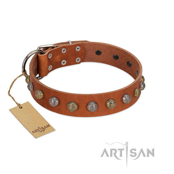 Corrosion resistant buckle on convenient full grain natural leather dog collar