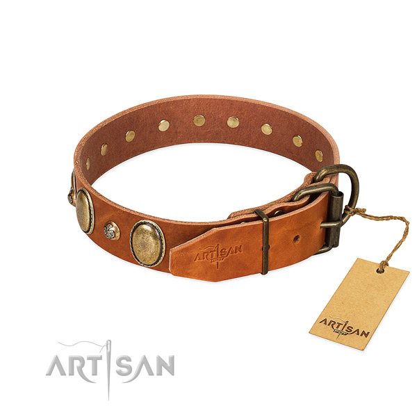 Everyday use genuine leather dog collar