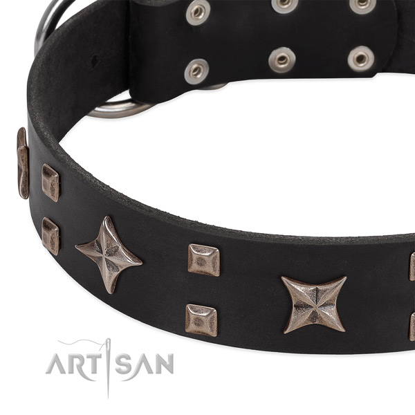 Strong hardware on genuine leather collar for basic training your canine
