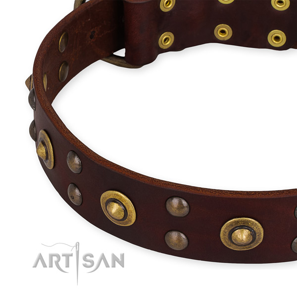 Full grain leather collar with reliable hardware for your handsome four-legged friend