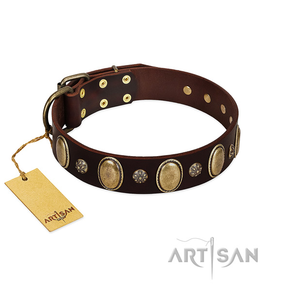 Daily use reliable genuine leather dog collar with adornments