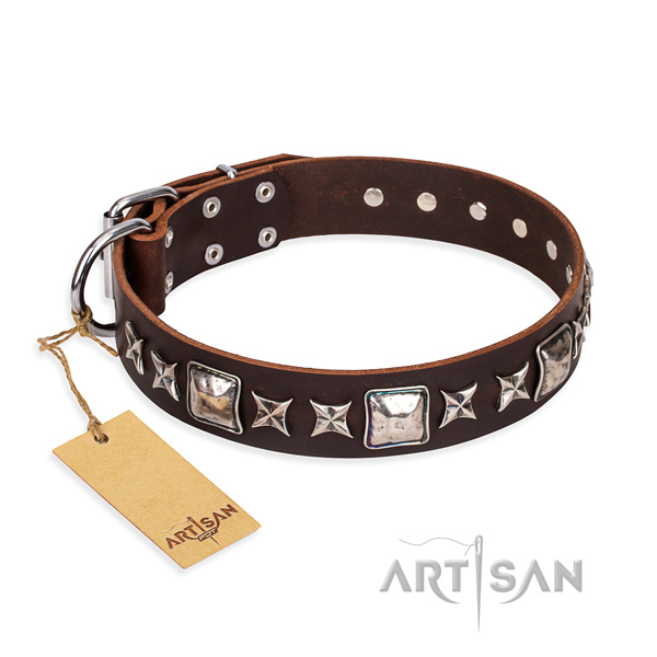 Daily use dog collar of top quality natural leather with embellishments
