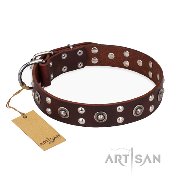 Stylish walking exceptional dog collar with rust resistant buckle