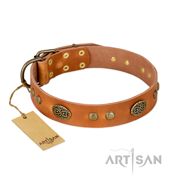 Durable embellishments on full grain genuine leather dog collar for your doggie