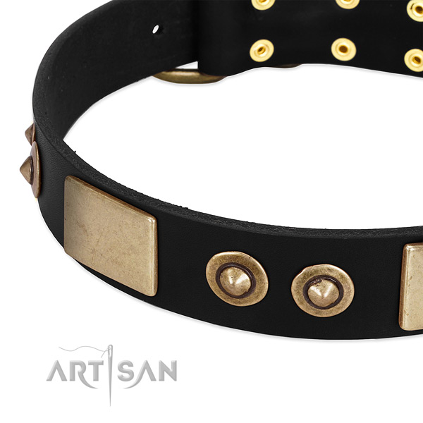 Strong embellishments on genuine leather dog collar for your dog