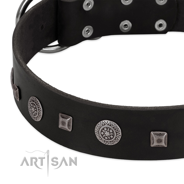 Incredible full grain natural leather collar with decorations for your four-legged friend