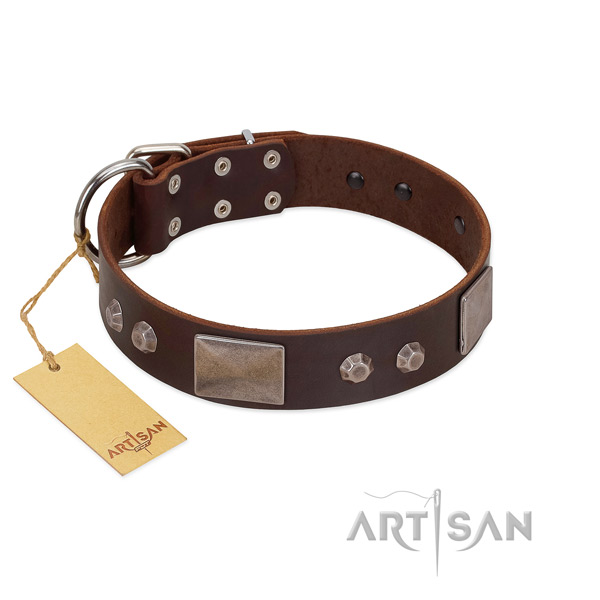 Adjustable natural leather dog collar with rust resistant D-ring