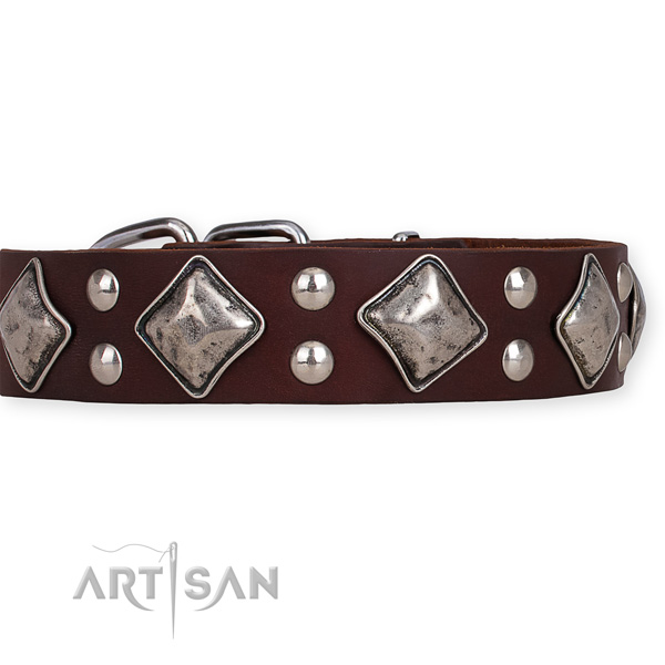 Full grain genuine leather dog collar with designer rust-proof adornments