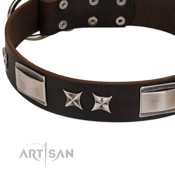 Best quality collar of full grain leather for your impressive canine