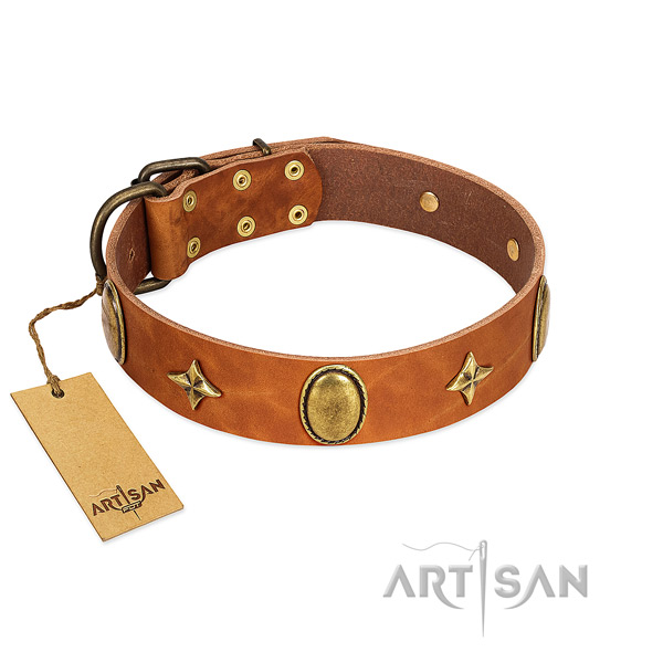 Top notch full grain genuine leather collar with awesome adornments for your dog