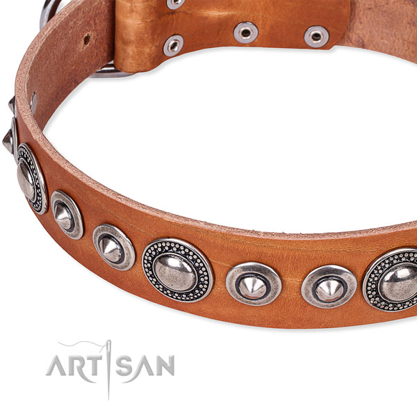 Stylish walking adorned dog collar of durable full grain leather