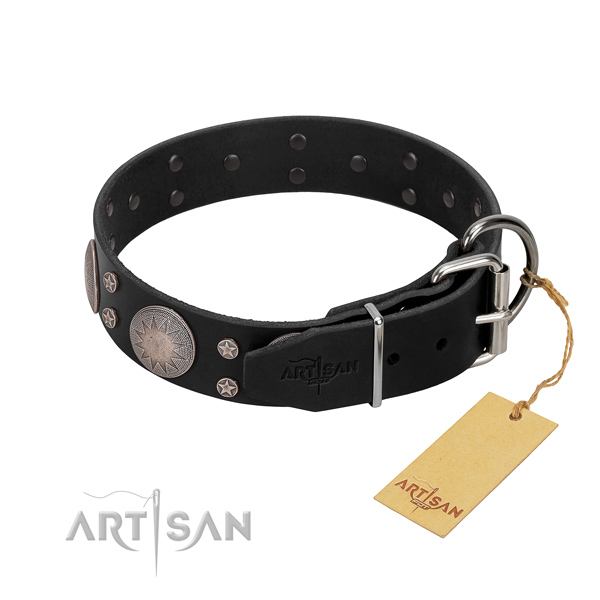 Exceptional embellishments on full grain leather dog collar for handy use