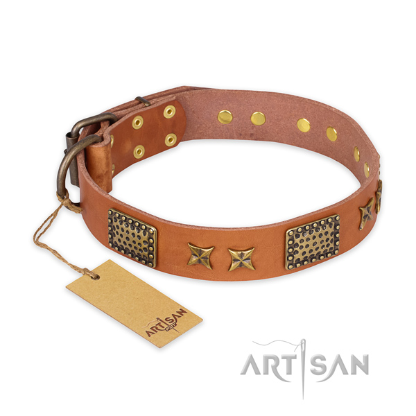 Studded full grain genuine leather dog collar with durable fittings