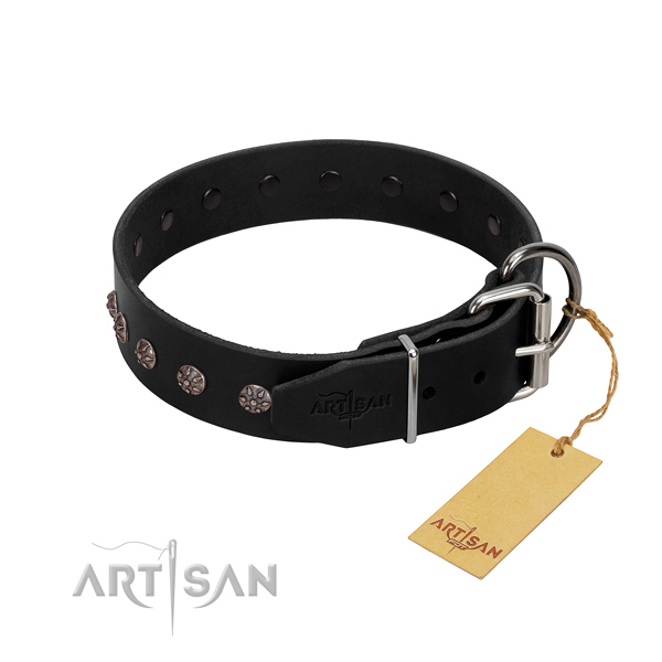 Flexible leather dog collar with adornments for your dog