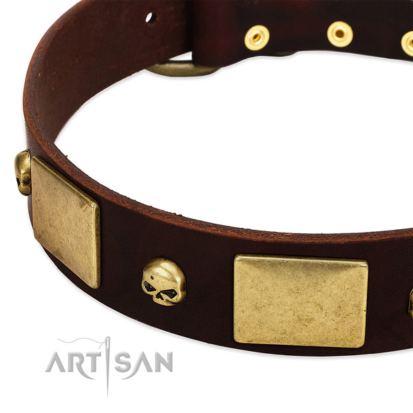 Top rate leather dog collar with corrosion resistant buckle