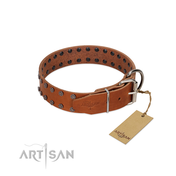 Gentle to touch full grain leather dog collar with embellishments for your dog