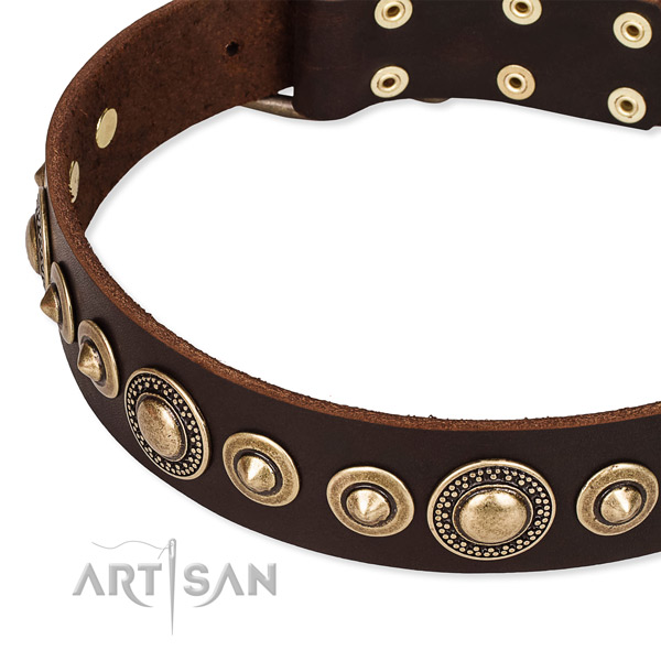 Reliable genuine leather dog collar handcrafted for your beautiful four-legged friend