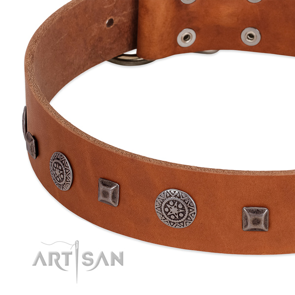 Amazing dog collar of natural leather with embellishments