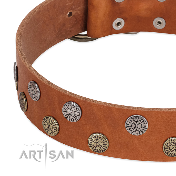 Designer full grain leather collar for daily use your canine