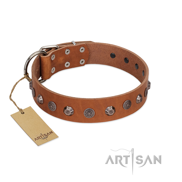 Strong buckle on genuine leather dog collar for everyday walking your dog