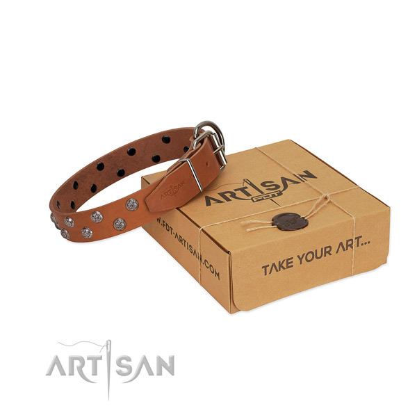 Durable traditional buckle on decorated genuine leather dog collar