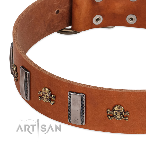 Inimitable studs on genuine leather dog collar for walking