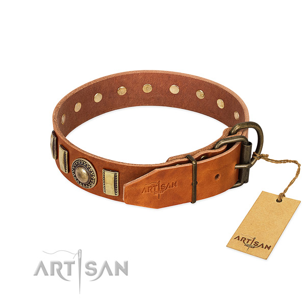 Embellished full grain natural leather dog collar with corrosion proof buckle