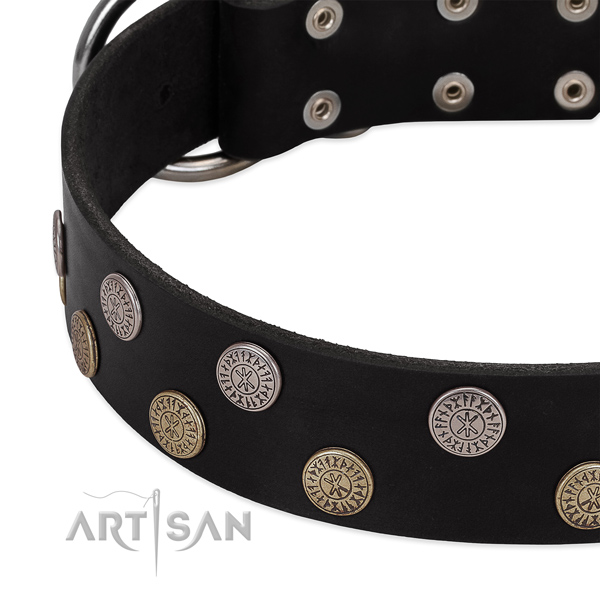 Soft natural leather dog collar with decorations for your impressive four-legged friend